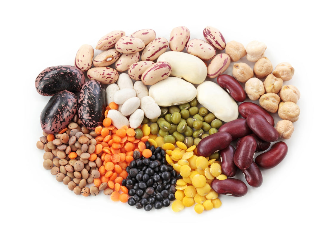 Why are Beans Healthy?
