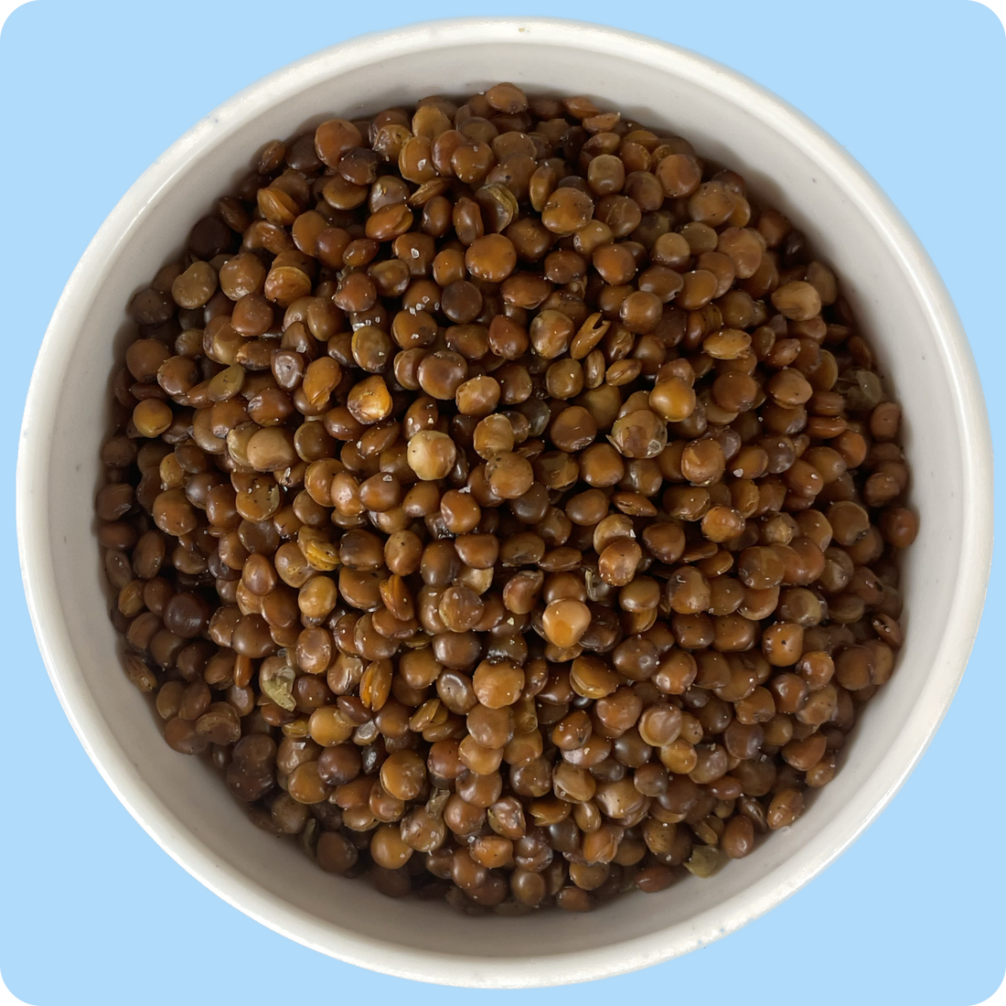 Can Plant-Based Diets Can Lower Your Cholesterol?
