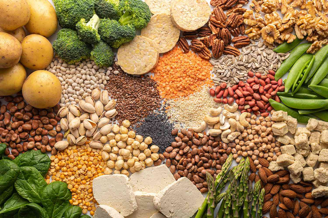 Benefits of Adding Plant Protein to Your Diet